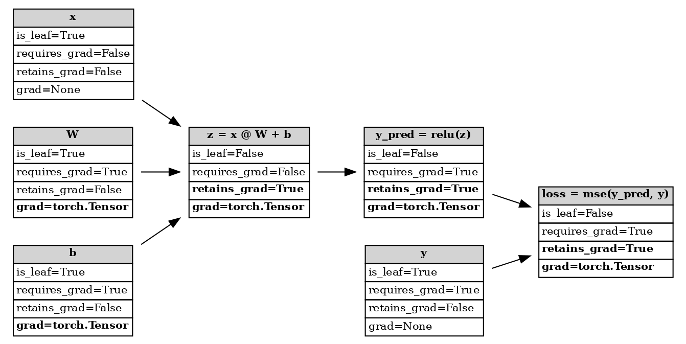 Computational graph after backward pass