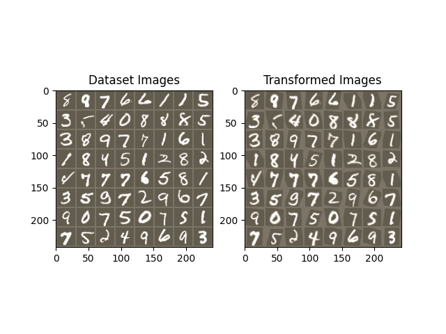 Dataset Images, Transformed Images