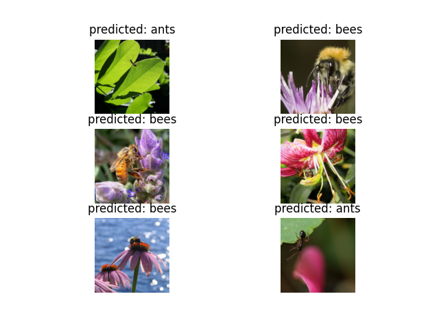 predicted: ants, predicted: bees, predicted: bees, predicted: bees, predicted: bees, predicted: ants